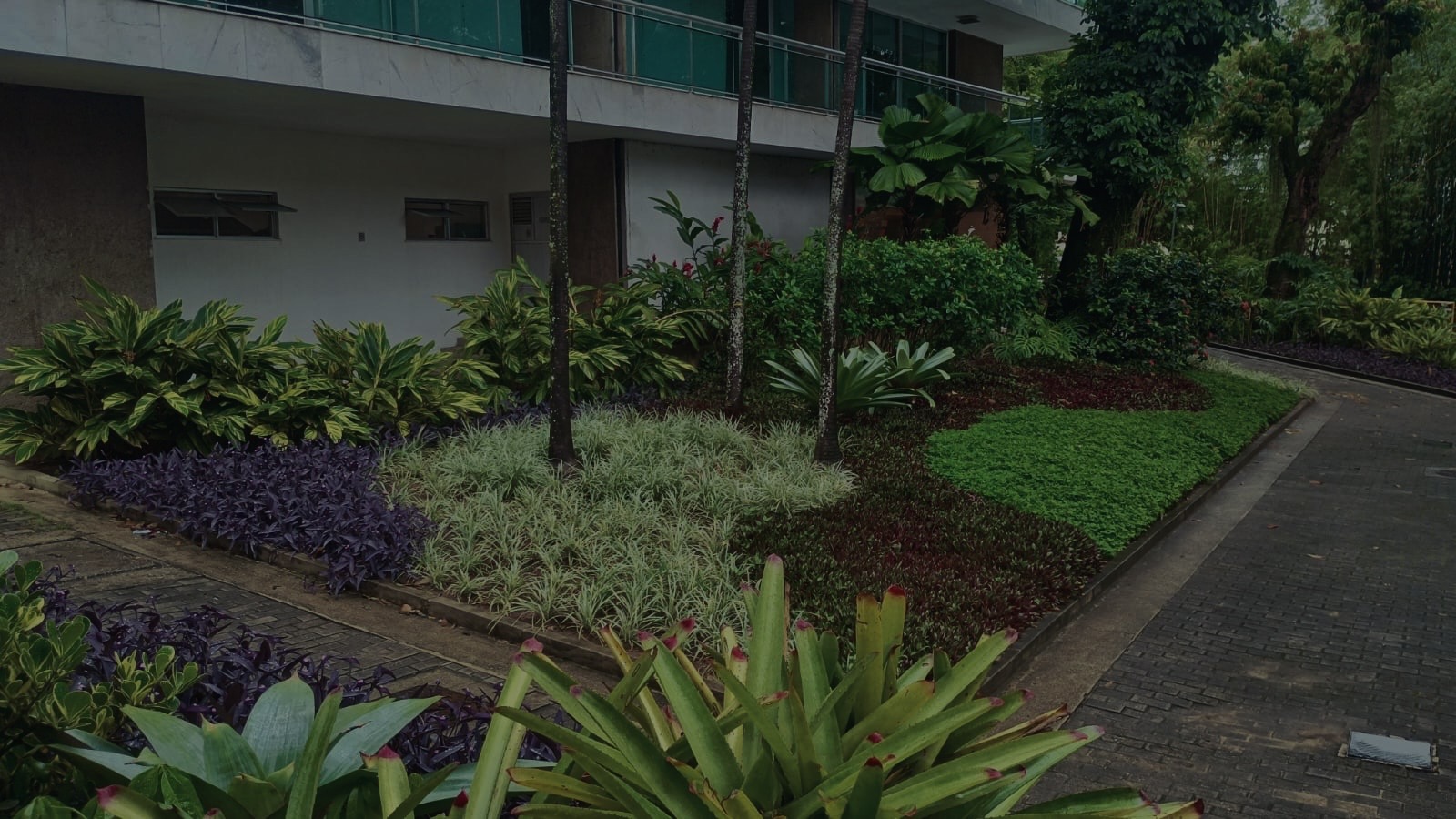 Jardim premium iluminado pelo sol